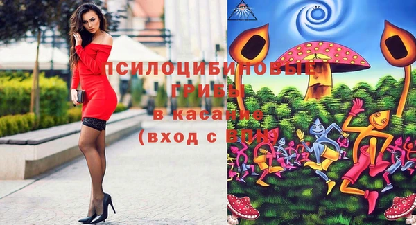 дмт Кинешма